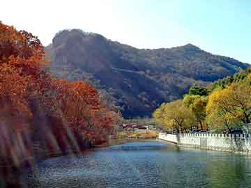 新澳天天开奖资料大全旅游团，站群赚钱